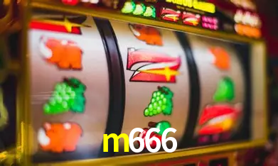 Níveis do programa VIP da m666
